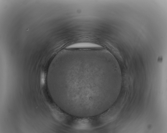 X0000094370075200711091548