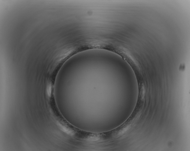 X0000094370076200711091548
