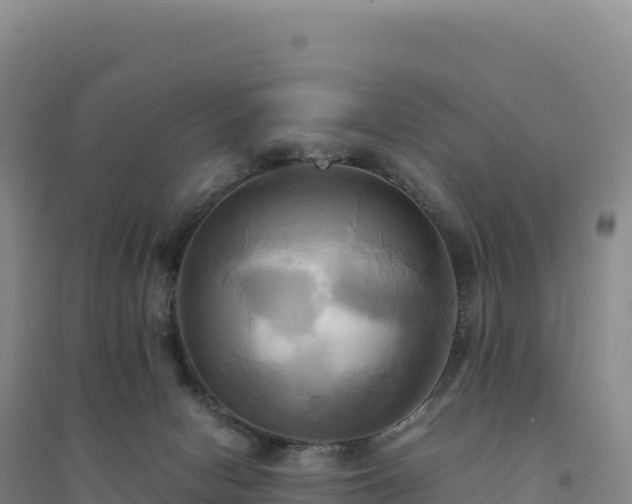 X0000094370078200711091548