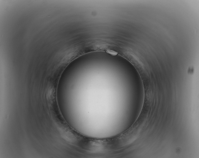 X0000094370079200711091548