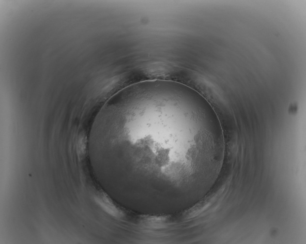 X0000094370081200711091548