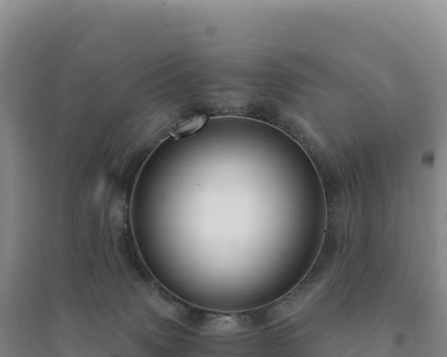 X0000094370083200711091548