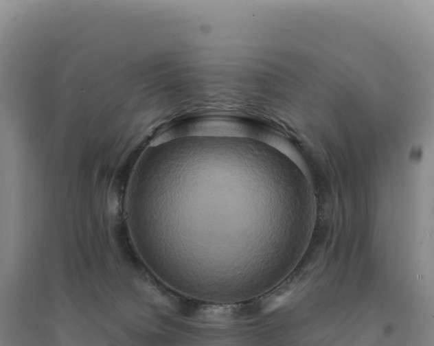 X0000094370084200711091548