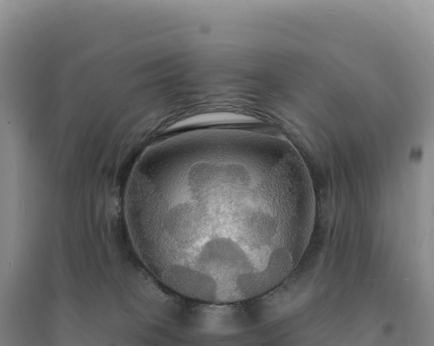 X0000094370085200711091548