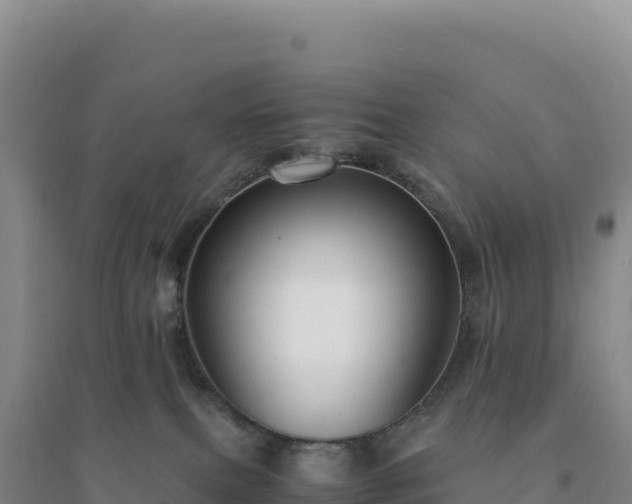 X0000094370087200711091548