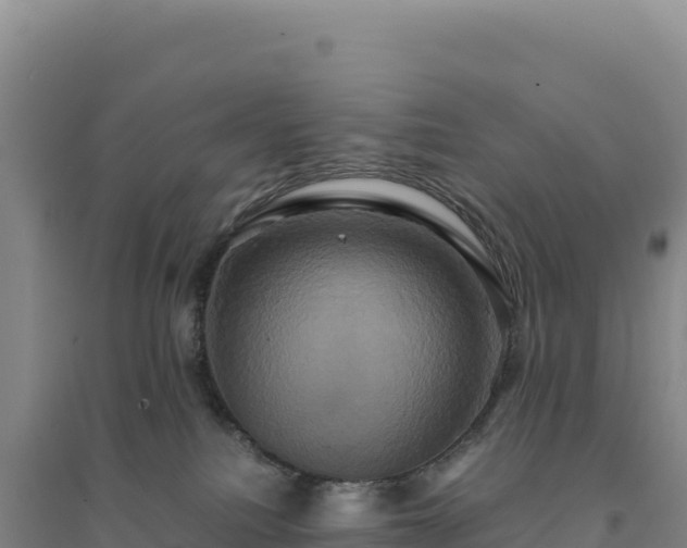 X0000094370088200711091548
