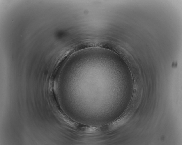 X0000094370096200711091548