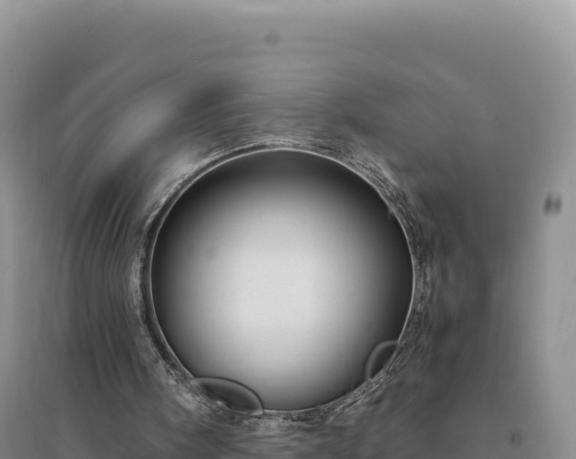 X0000094370098200711091547