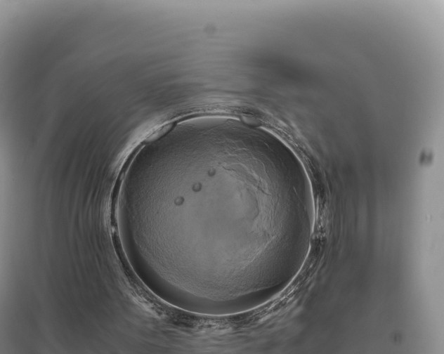 X0000094370099200711091547