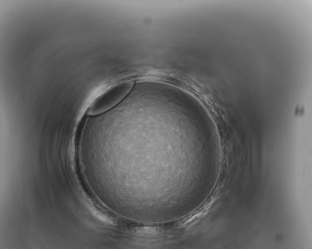 X0000094370102200711091547