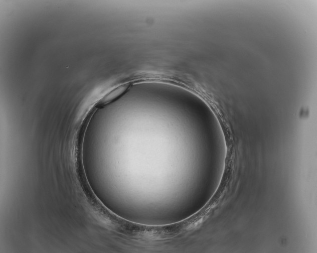 X0000094370103200711091547
