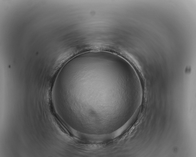 X0000094370105200711091547