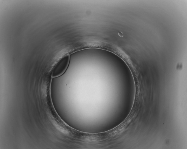 X0000094370106200711091547