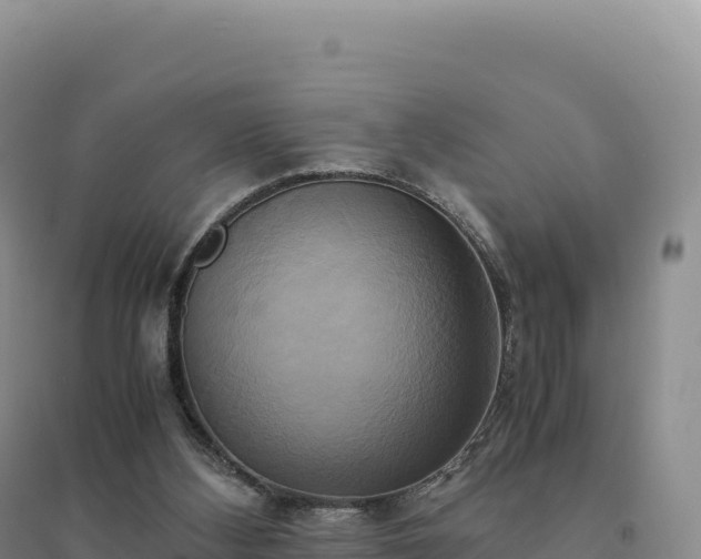 X0000094370108200711091547