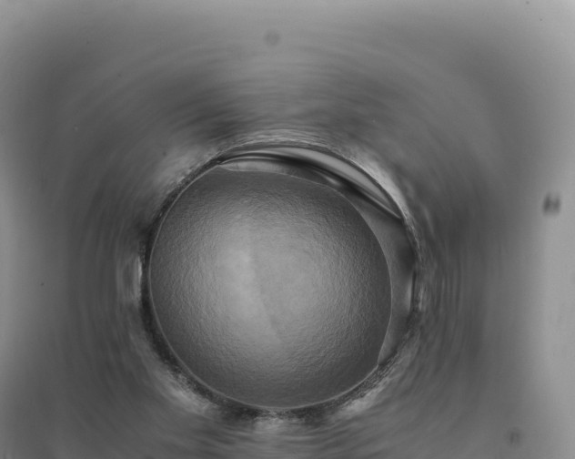 X0000094370109200711091547