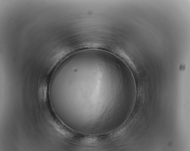 X0000094370110200711091547