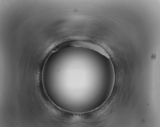 X0000094370111200711091547
