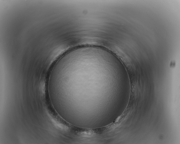 X0000094370112200711091547