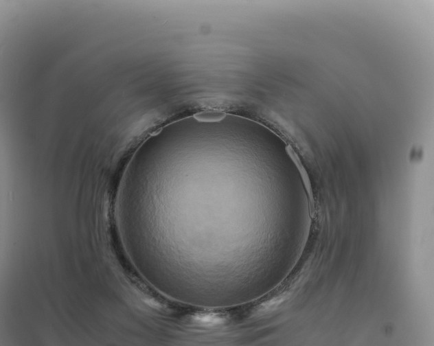 X0000094370117200711091547