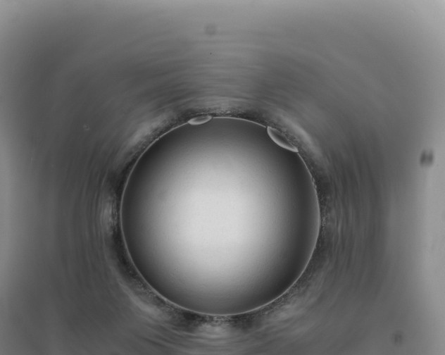 X0000094370119200711091547
