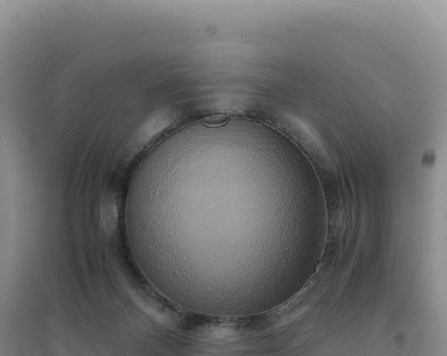 X0000094370120200711091547