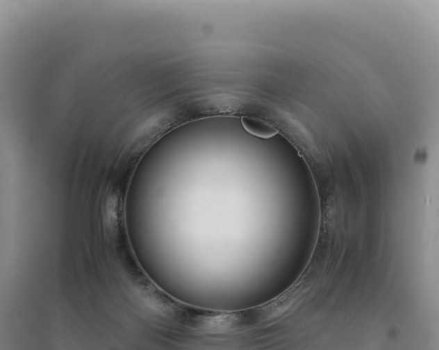 X0000094370122200711091547