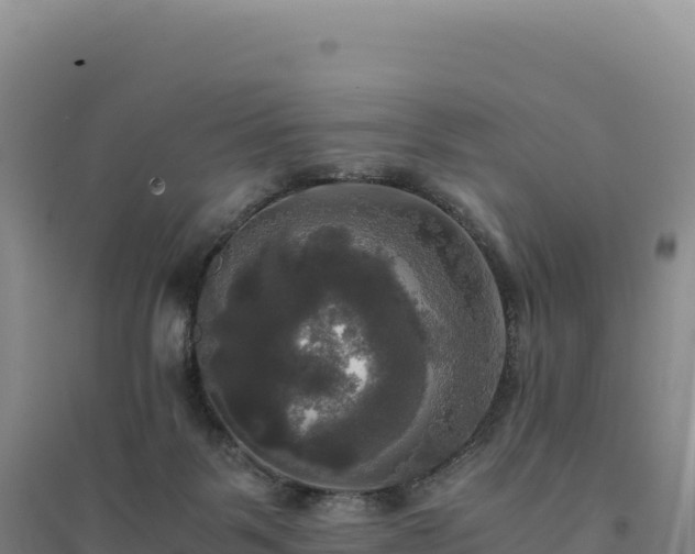 X0000094370123200711091547