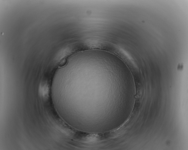 X0000094370124200711091547