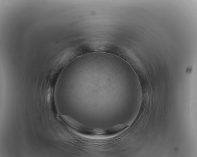 X0000094370125200711091547