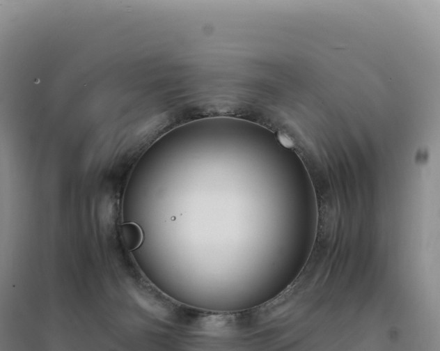 X0000094370126200711091547