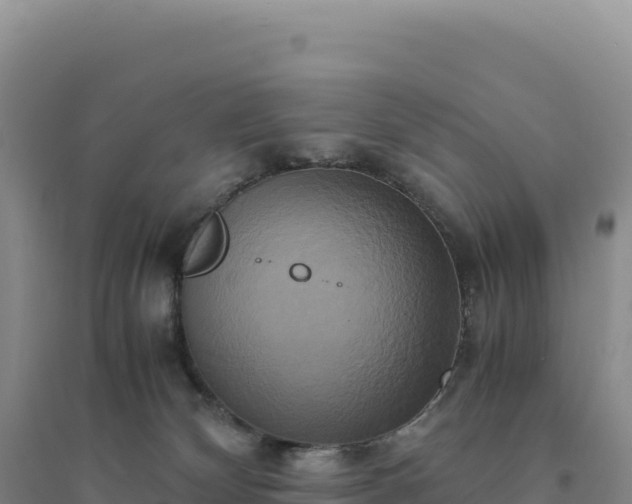 X0000094370132200711091547