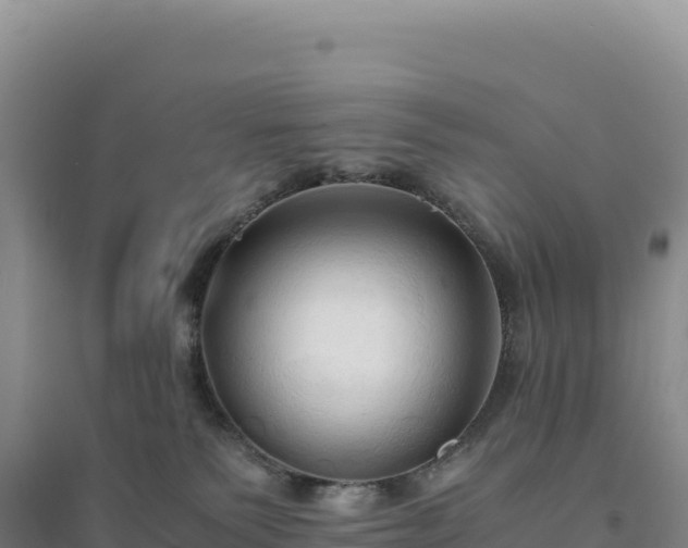 X0000094370135200711091547
