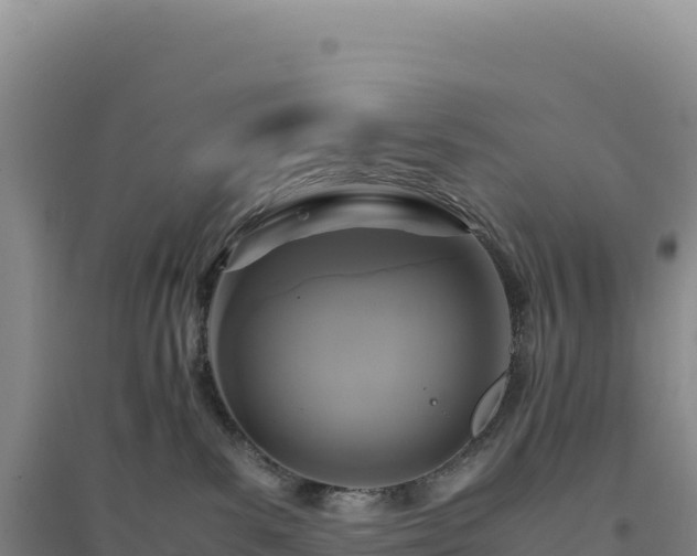 X0000094370139200711091547