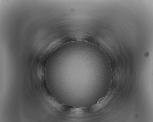 X0000094370140200711091547