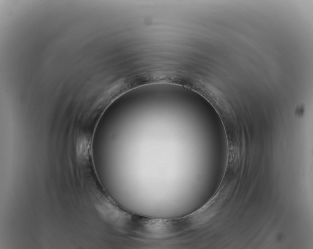 X0000094370142200711091547