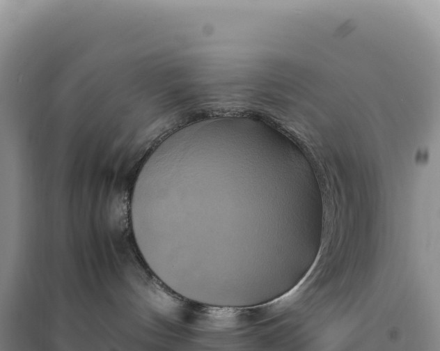 X0000094370144200711091547