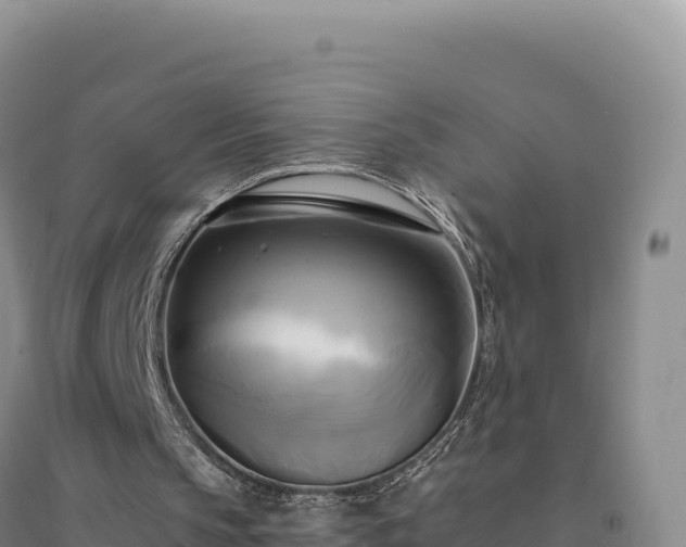 X0000094370145200711091546