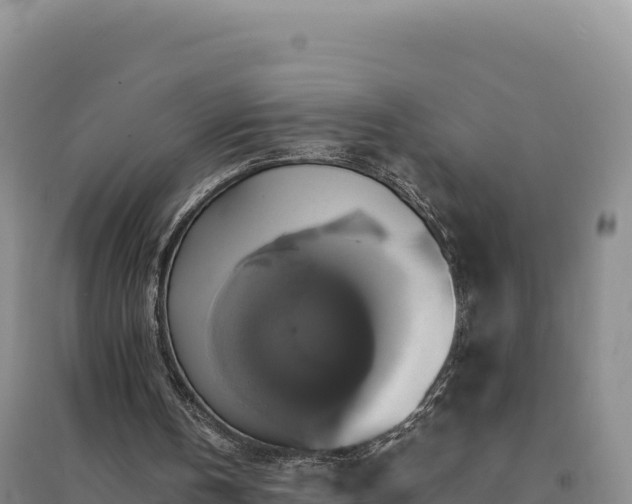 X0000094370146200711091546