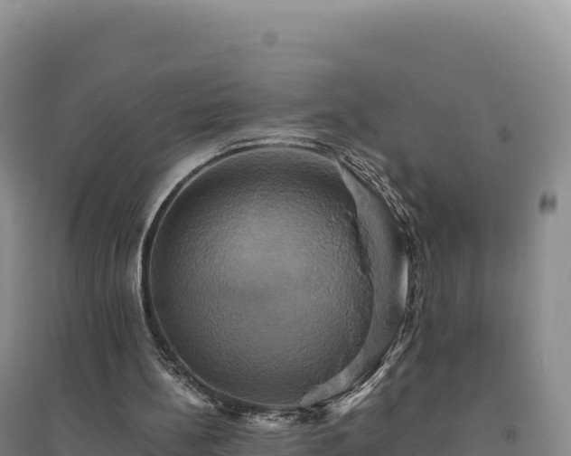 X0000094370148200711091546