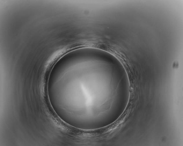 X0000094370149200711091546