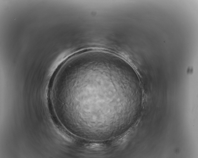 X0000094370151200711091546