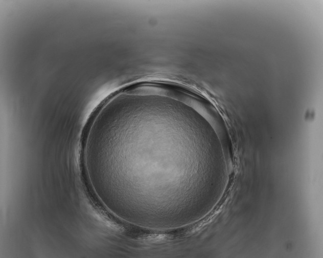 X0000094370152200711091546