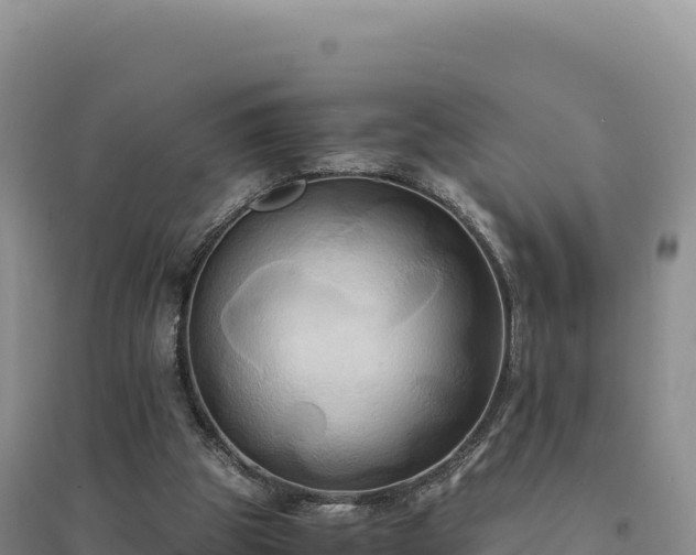 X0000094370153200711091546