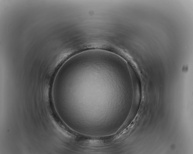 X0000094370154200711091546