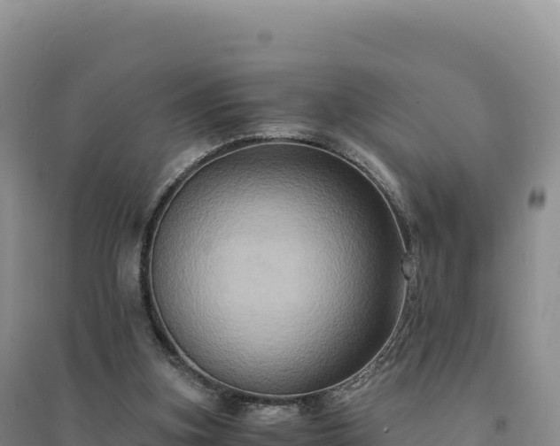 X0000094370155200711091546