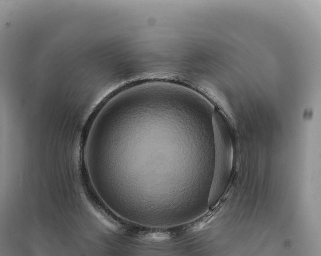 X0000094370156200711091546