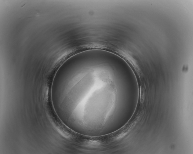 X0000094370157200711091546