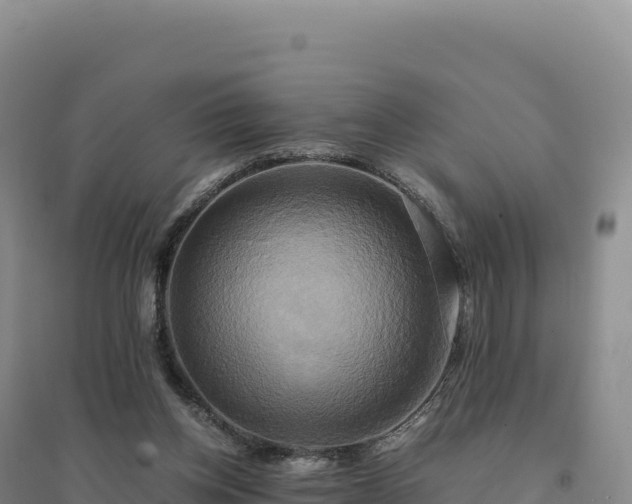 X0000094370158200711091546