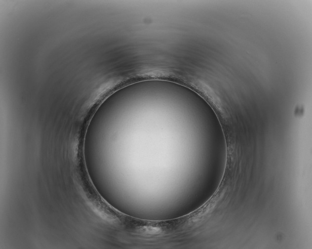 X0000094370159200711091546