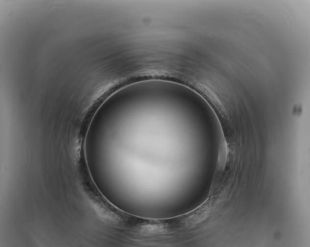 X0000094370160200711091546